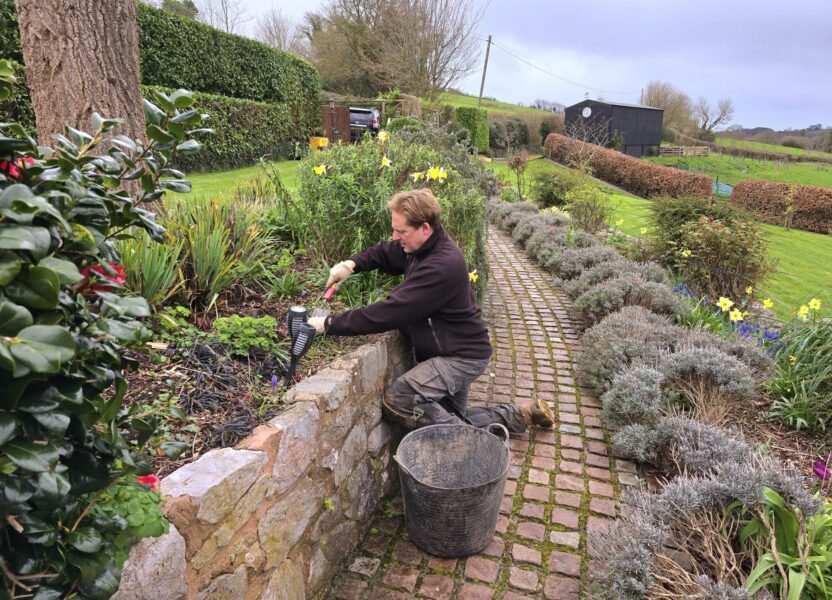 General Garden Maintenance