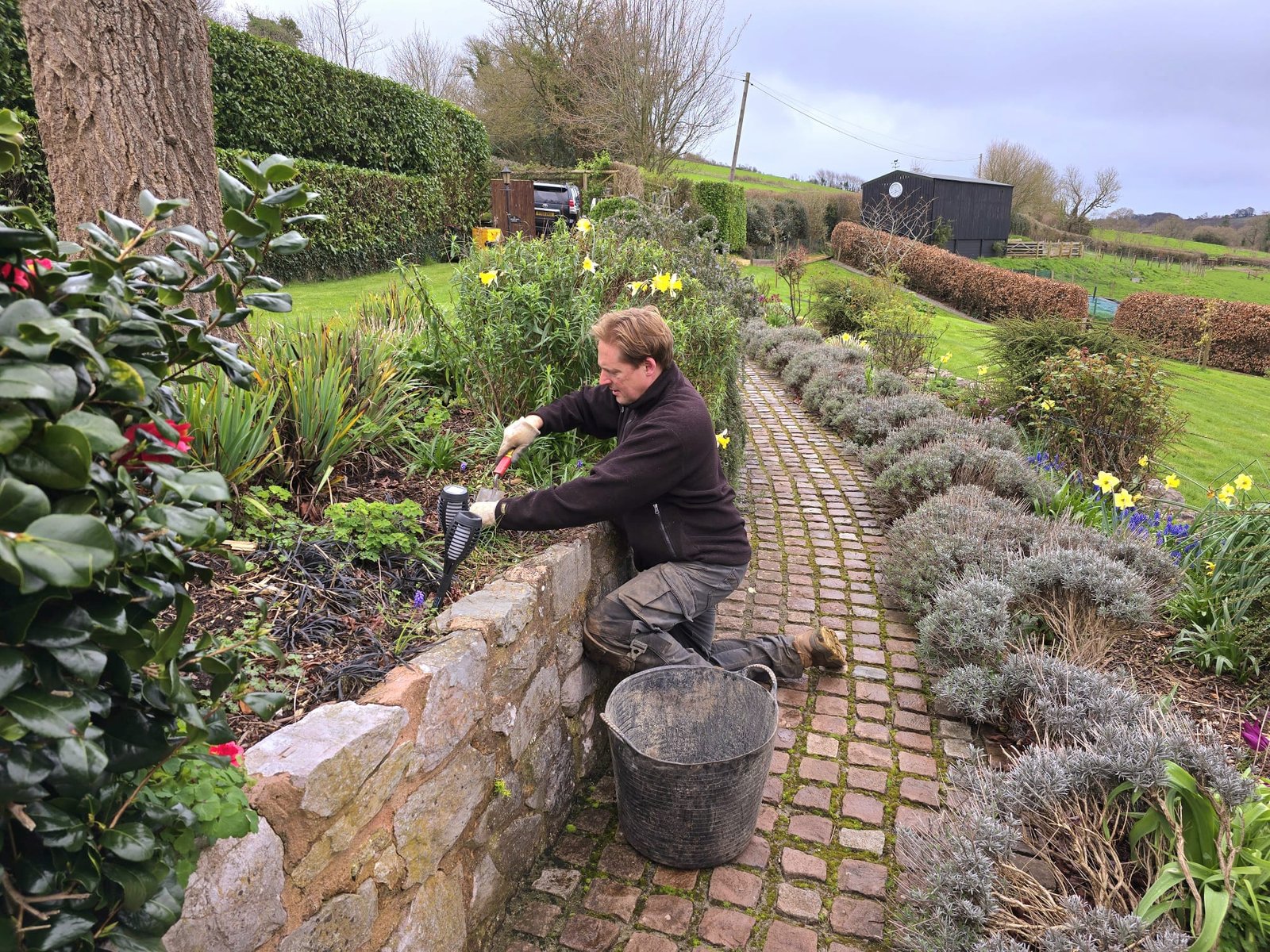 General Garden Maintenance