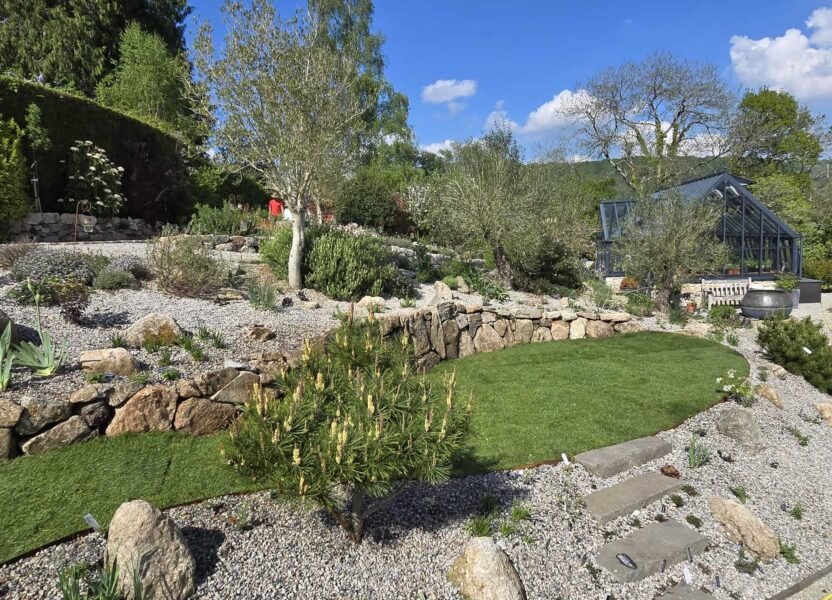 Garden with a greenhouse in the back