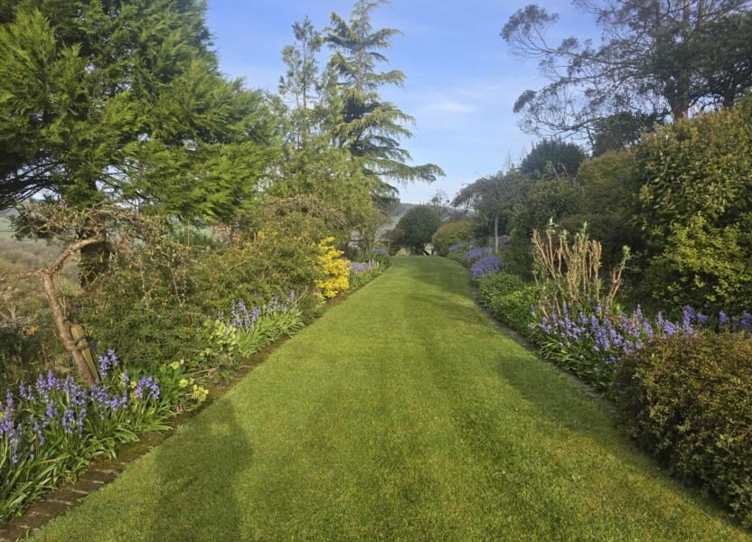 Long garden in Teign Valley
