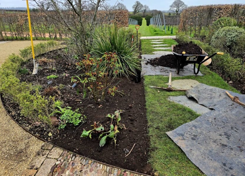 Bed replanted in early spring