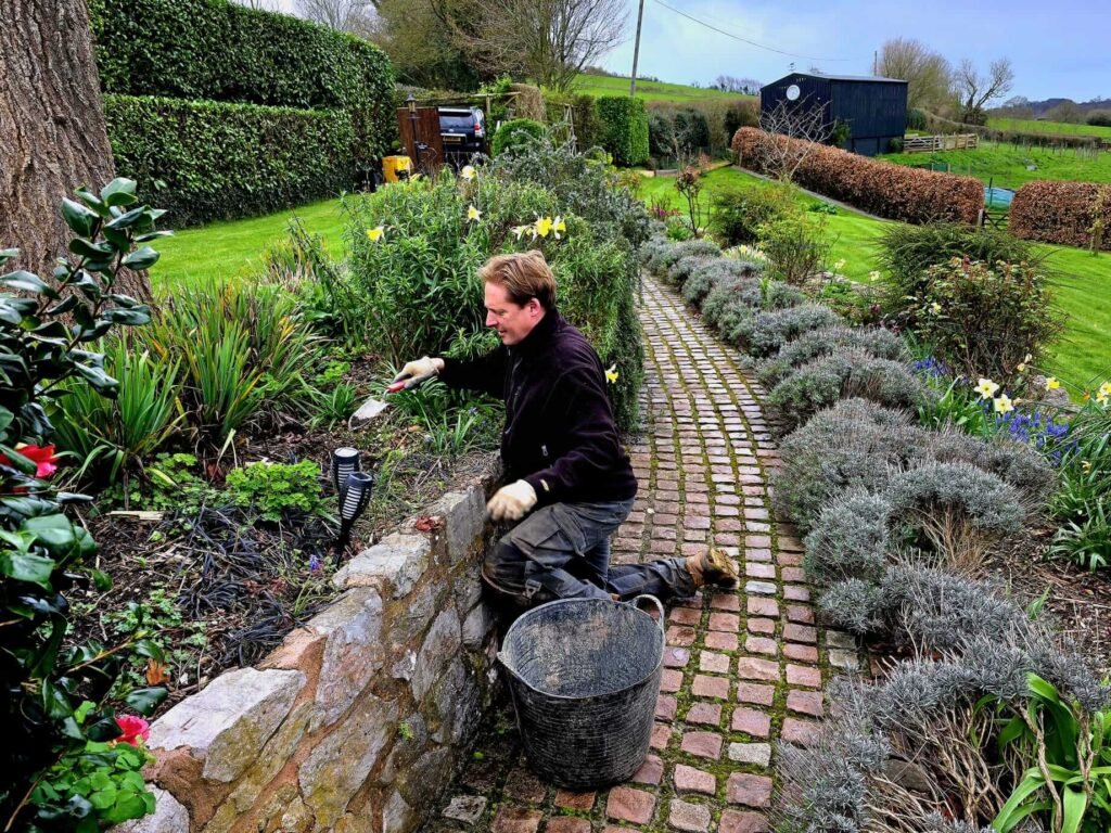 Planting & weeding